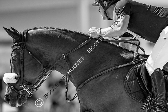 Showjumping