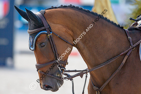 Showjumping