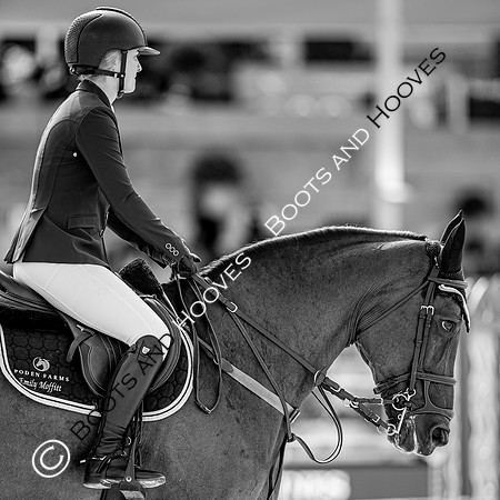 Showjumping
