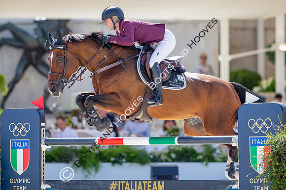 Showjumping