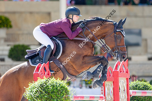 Showjumping