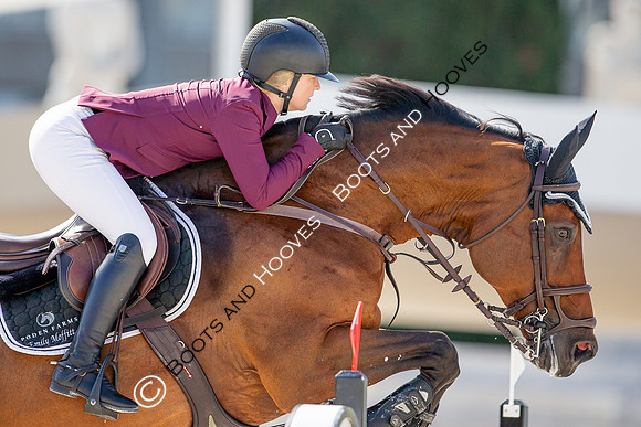 Showjumping