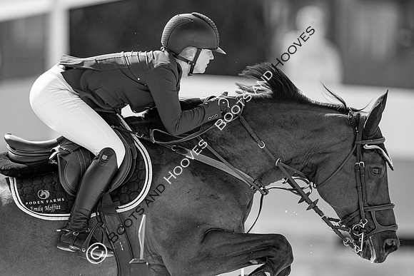 Showjumping