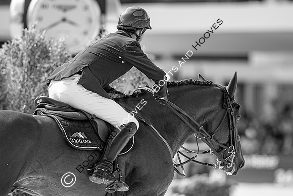 Showjumping