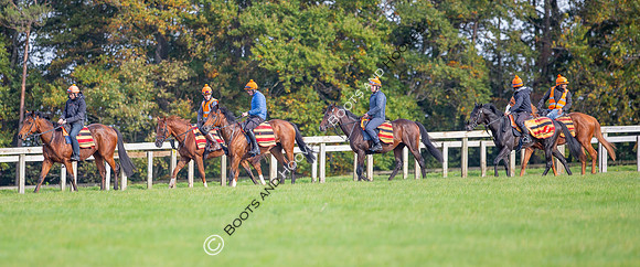Newmarket