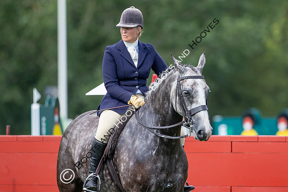 The Prenetics Royal International Horse Show