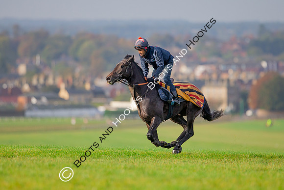 Newmarket