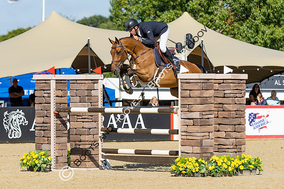 The Al Shira'aa British Young Horse Championships