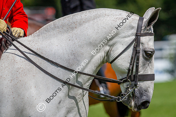 The AGRIA Royal International Horse Show