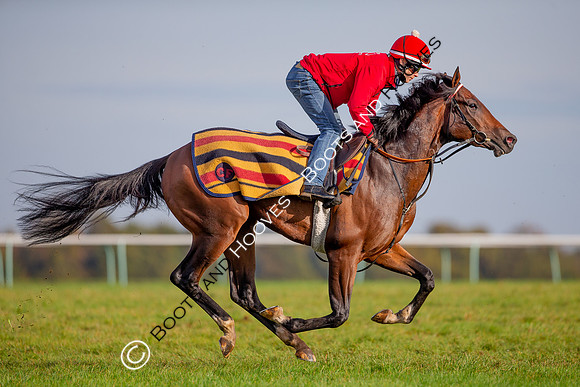 Newmarket