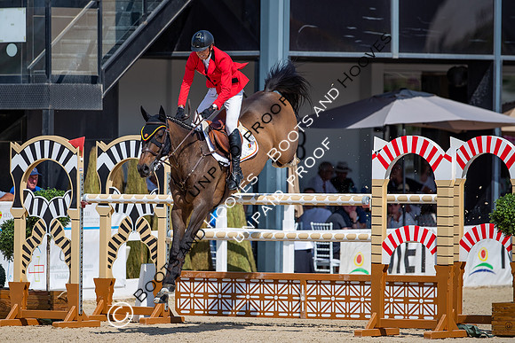 FEI Junior European Championship Young Riders, Juniors & Childre