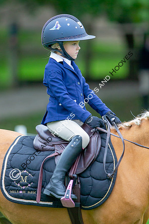 Science Supplements All England Jumping Championships