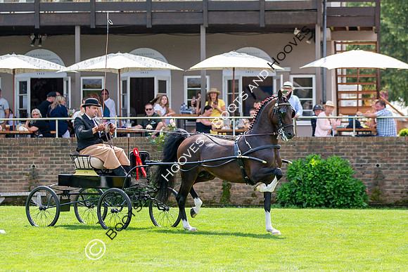 The Prenetics Royal International Horse Show