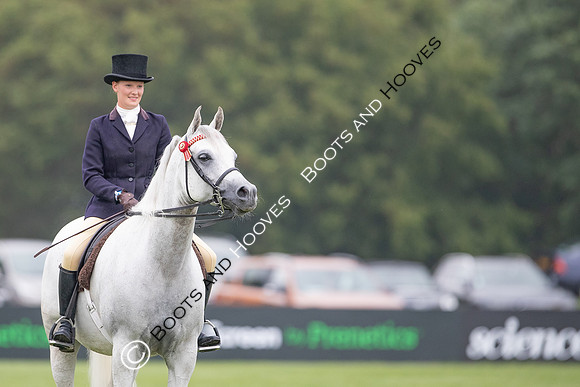 The Prenetics Royal International Horse Show