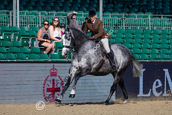 Royal Windsor Horse Show