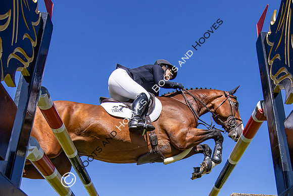 The AGRIA Royal International Horse Show