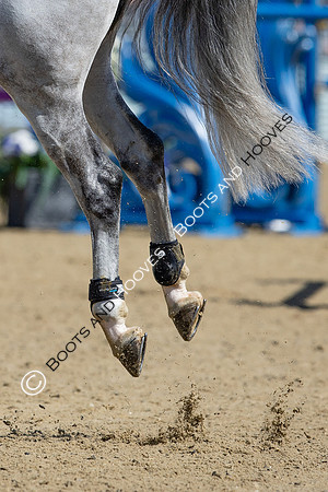 Royal Windsor Horse Show