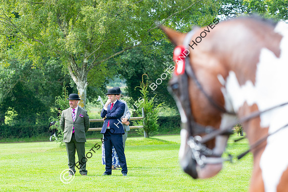 The Prenetics Royal International Horse Show