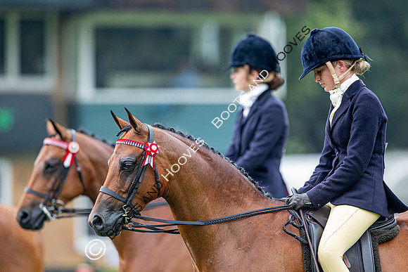 The Prenetics Royal International Horse Show