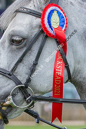 The Prenetics Royal International Horse Show