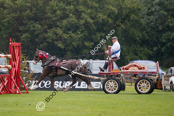 The Prenetics Royal International Horse Show