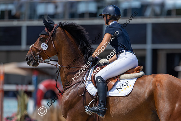 FEI Junior European Championship Young Riders, Juniors & Childre