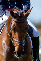 Barefoot Retreats Burnham Market Horse Trials