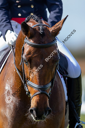 Barefoot Retreats Burnham Market Horse Trials