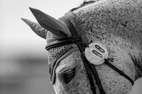 Barefoot Retreats Burnham Market Horse Trials