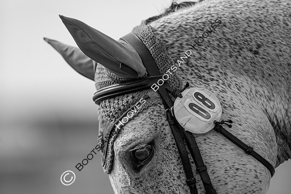 Barefoot Retreats Burnham Market Horse Trials