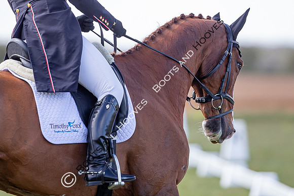 Barefoot Retreats Burnham Market Horse Trials