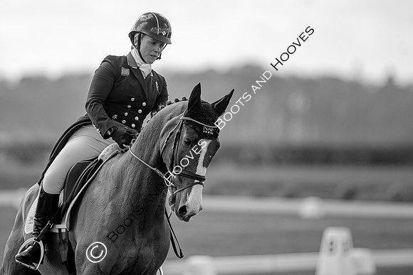 Barefoot Retreats Burnham Market Horse Trials