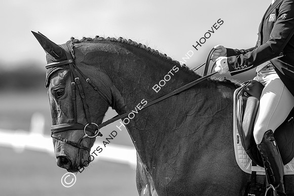 Barefoot Retreats Burnham Market Horse Trials