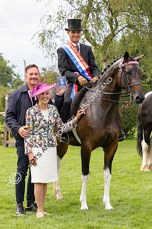 The Royal International Horse Show