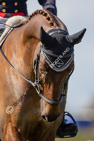 Barefoot Retreats Burnham Market Horse Trials