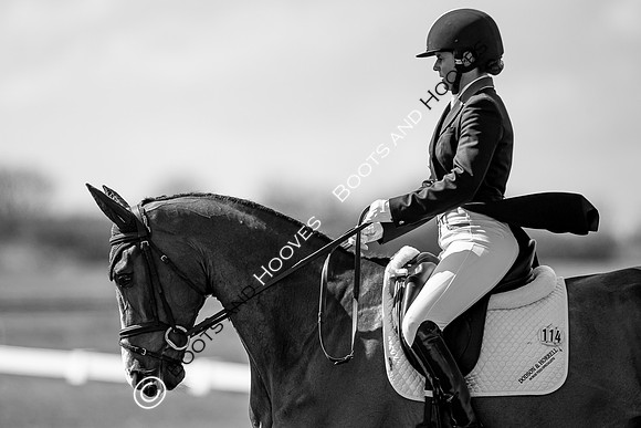 Barefoot Retreats Burnham Market Horse Trials