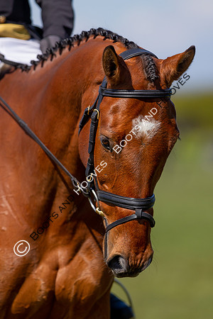 Barefoot Retreats Burnham Market Horse Trials