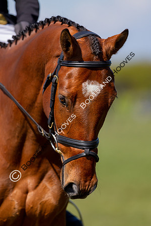 Barefoot Retreats Burnham Market Horse Trials