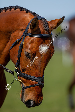 Barefoot Retreats Burnham Market Horse Trials