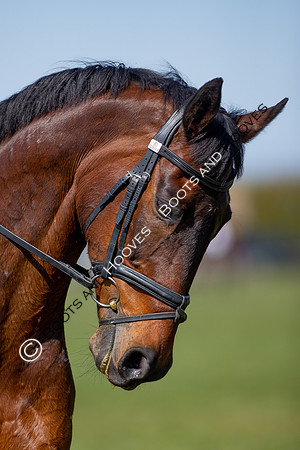 Barefoot Retreats Burnham Market Horse Trials