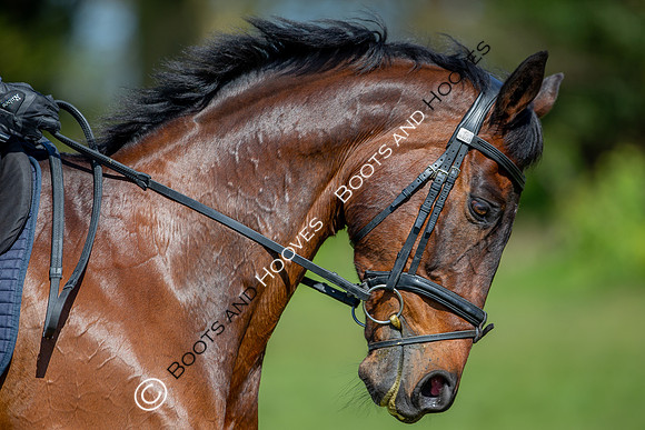 Barefoot Retreats Burnham Market Horse Trials