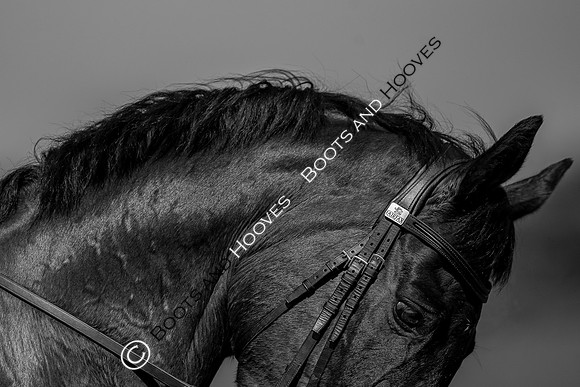 Barefoot Retreats Burnham Market Horse Trials
