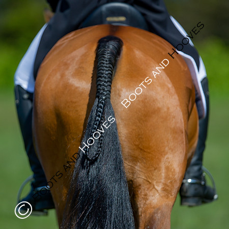 Barefoot Retreats Burnham Market Horse Trials
