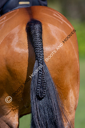 Barefoot Retreats Burnham Market Horse Trials