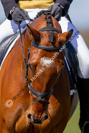 Barefoot Retreats Burnham Market Horse Trials