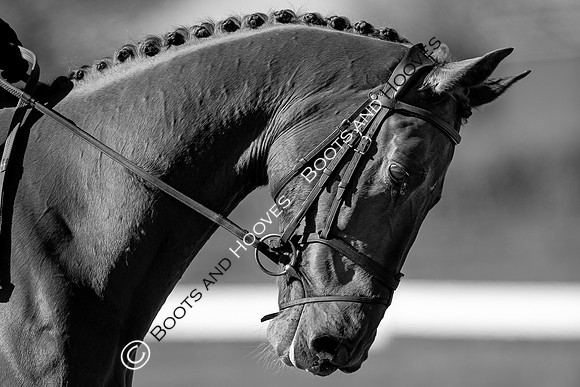 Barefoot Retreats Burnham Market Horse Trials