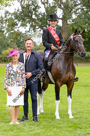 The Royal International Horse Show