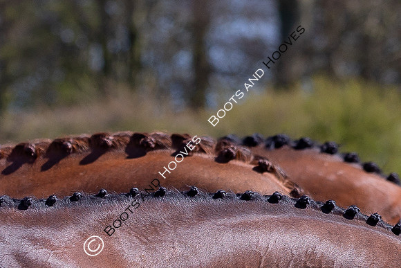 Barefoot Retreats Burnham Market Horse Trials