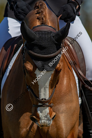 Barefoot Retreats Burnham Market Horse Trials