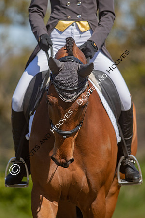 Barefoot Retreats Burnham Market Horse Trials